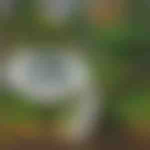 Solární podlahová světla pro venkovní použití (3 ks) | LUMIGARD