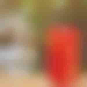 Stroj na výrobu bublin | BUBBLEXPLODER