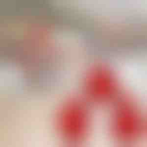 Vánoční mini koláčovač (3ks) | JOYPIE